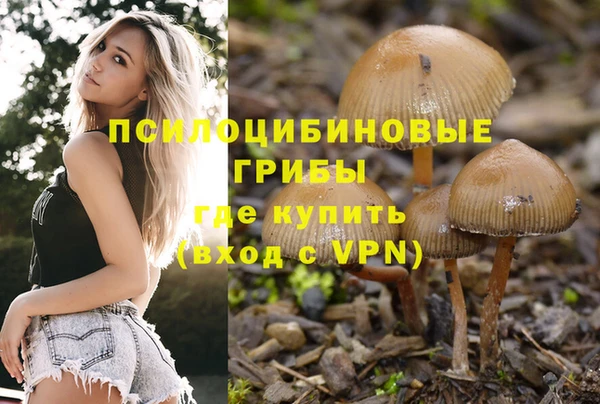 прущий лед Аркадак