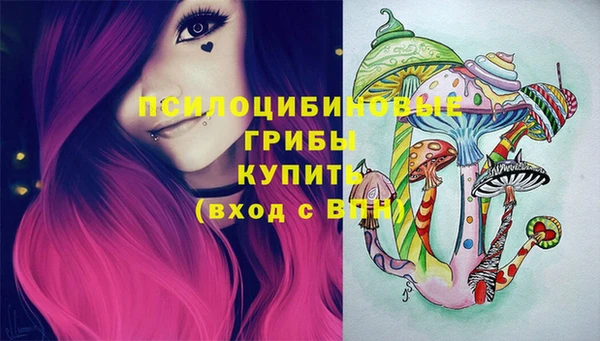 крисы Арсеньев