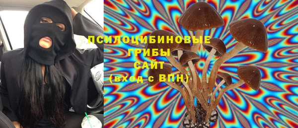 прущий лед Аркадак