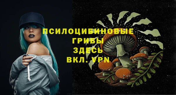 прущий лед Аркадак