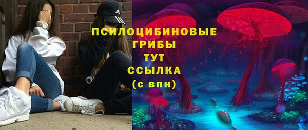 прущий лед Аркадак